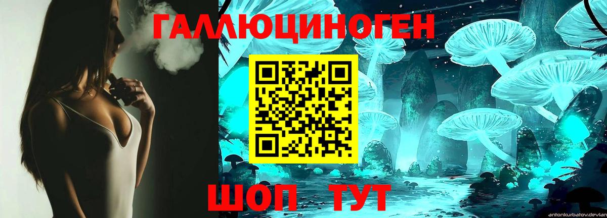 Алексеевка  Псилоцибиновые грибы Psilocybe  Вход с VPN 